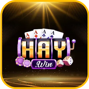 Logo HAYWIN