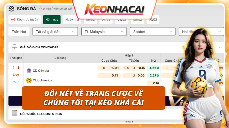 những cách nhà cái xây dựng tỷ lệ cược