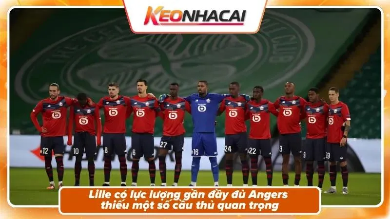 Tình hình nhân sự
