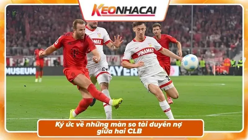 Lịch sử đối đầu: Hùm xám áp đảo tuyệt đối