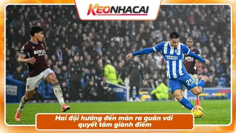 Nhận định Brighton vs Aston Villa: bối cảnh ngày khai màn