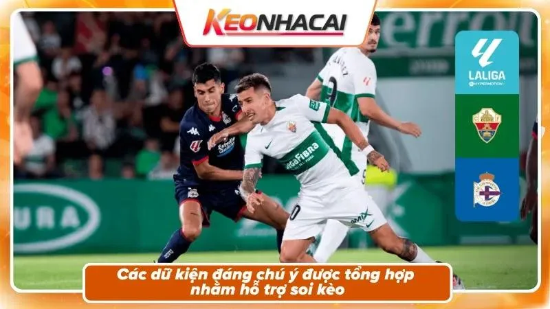 Nhận định kèo trận đấu