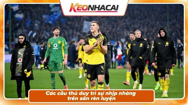 Phong độ và bối cảnh hai đội