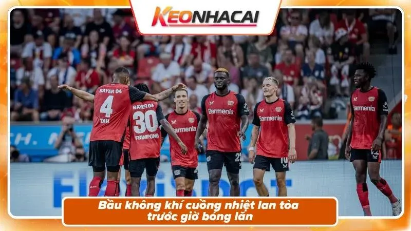 Nhận định Elversberg vs Leverkusen: sân khấu lịch sử của tân binh