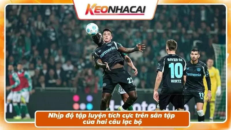 Phong độ và bối cảnh hai đội