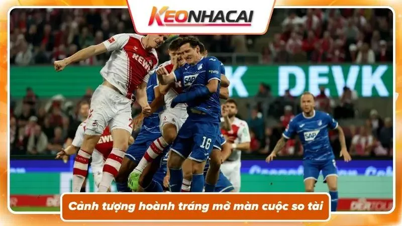 Nhận định Koln vs Hoffenheim: câu chuyện trước ngày khởi tranh