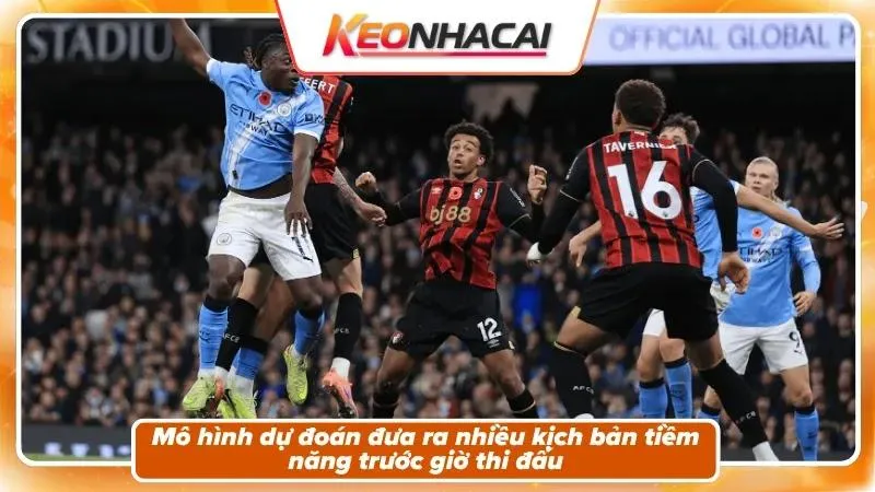 Nhận định tỷ số