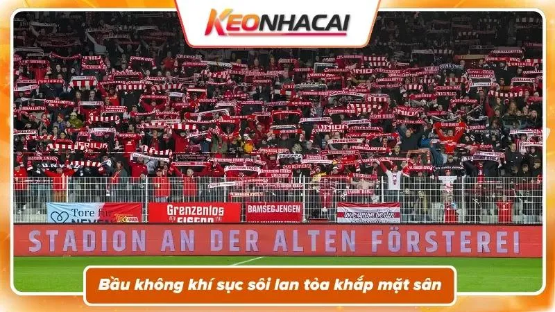 Nhận định Union Berlin vs Frankfurt: điểm nhấn trước giờ khai cuộc